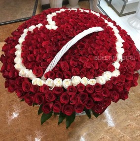 501 Красная и Белая Роза Сердце ЭКВАДОР в Корзине