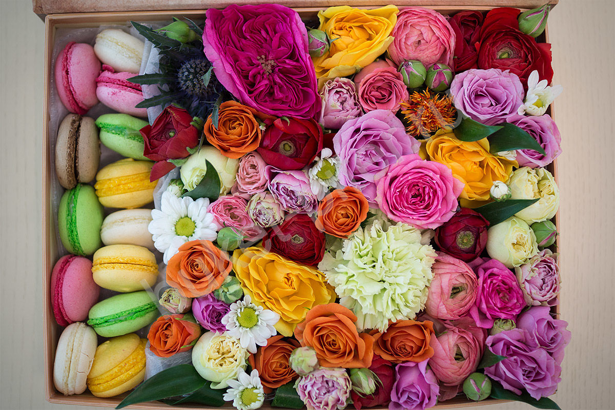 Макаронс с разноцветными с розами и хризантемами