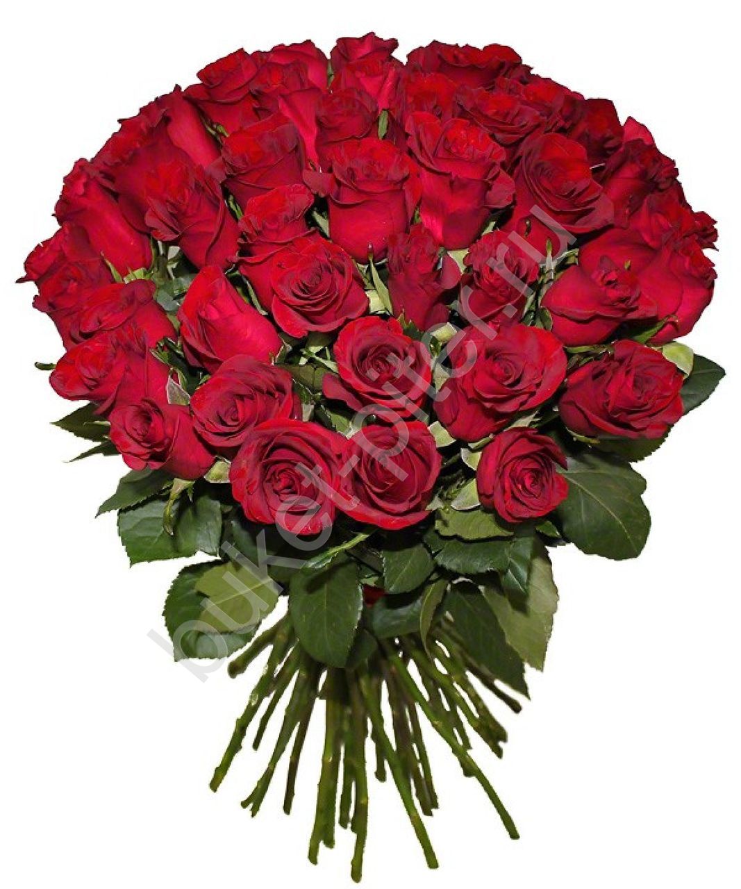 Букет из 45 красных роз
