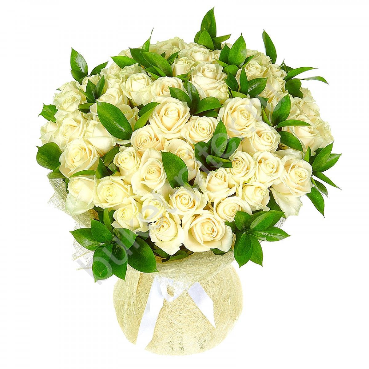 Букет белых роз (51 шт)