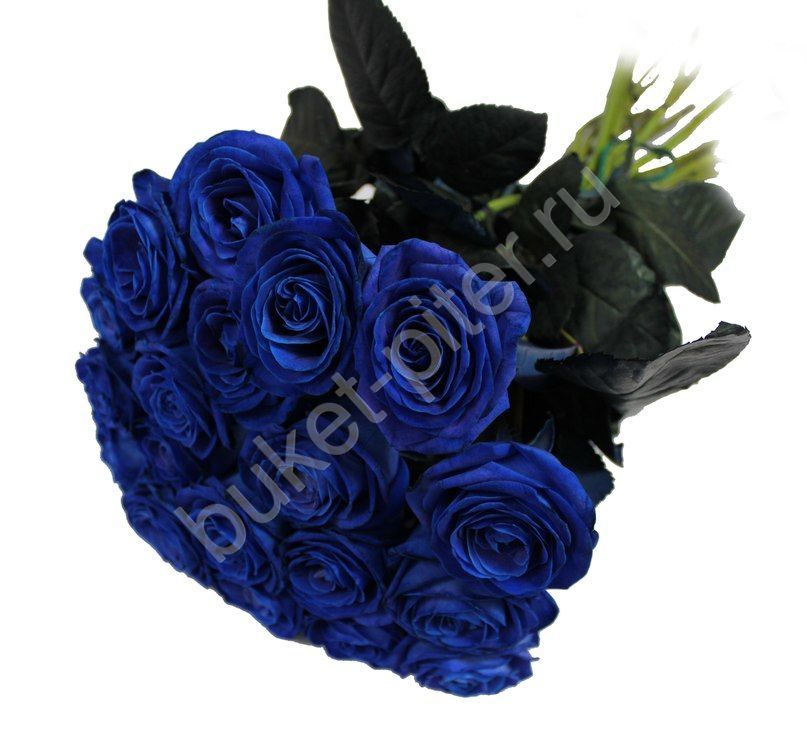 Букет из синей розы