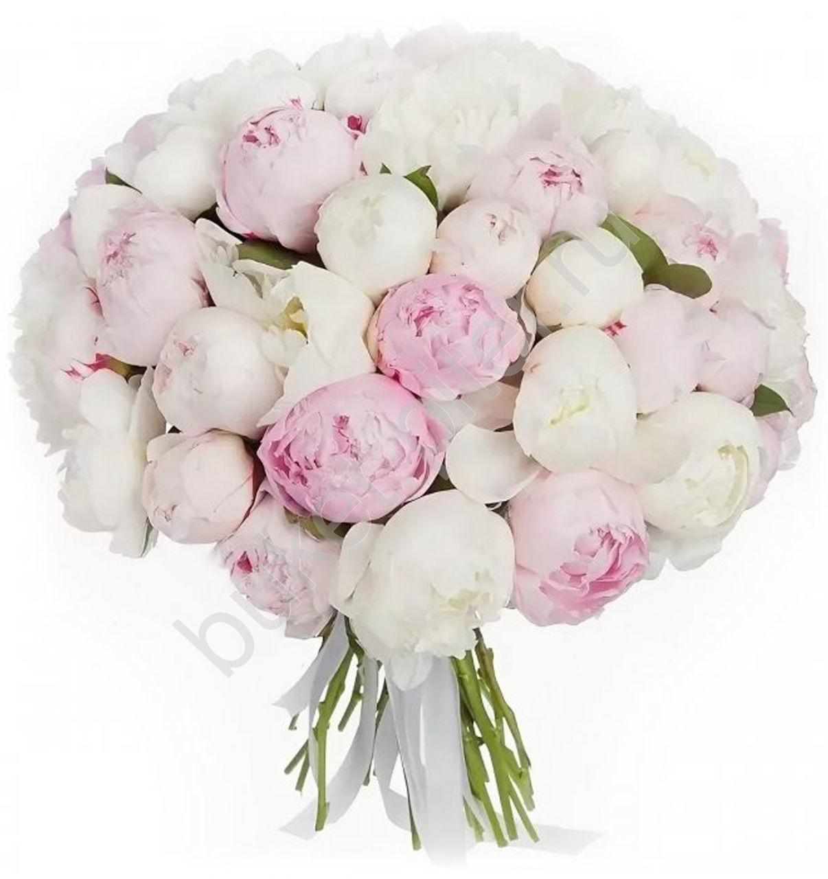 Букет Пионов из 51 Белого и Нежно-розового цветка