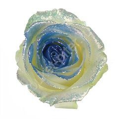 Роза Avalanche bling bling blue