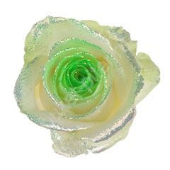 Роза Avalanche bling bling green