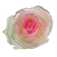 Роза Avalanche bling bling pink