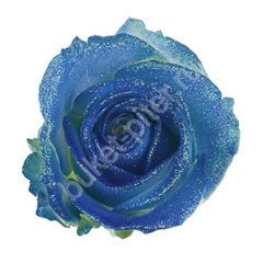 Роза Avalanche glitter look blue