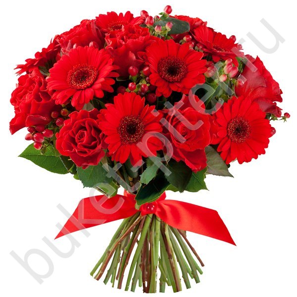 Букет с 11 красными герберами и 10 розами