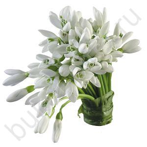 Подснежники