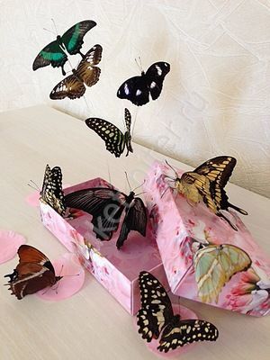 Живые бабочки в коробке - 3шт