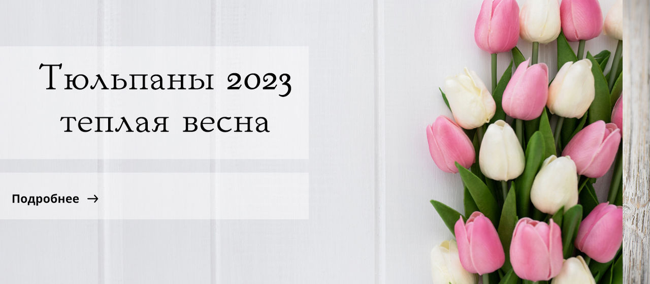Тюльпаны 2023