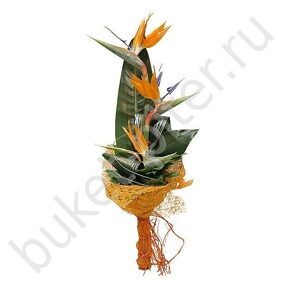 Букет из 3 стрелиций