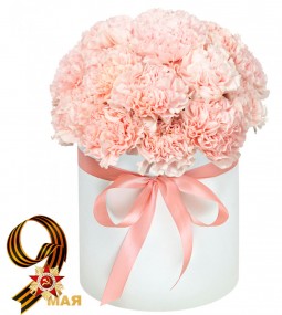 Шляпная Коробка с Нежно-Розовыми Гвоздиками