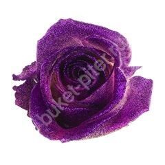 Роза Avalanche crystal look purple