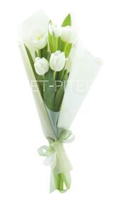 КП Букет из 5 Белых Тюльпанов в Матовой упаковке (в ассорт.)