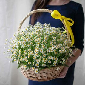 Корзина с Кустовыми Ромашками