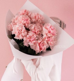 Букет из Розовых Французских Роз в Белой упаковке