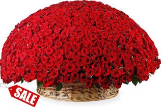 1001 Красная Роза в Корзине