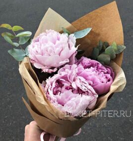 Букет Розовых Пионов №25