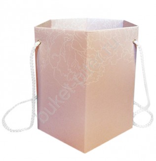 Коробка с емкостью для воды «Розовый беж»