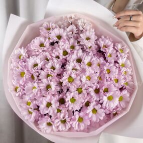 Нежные Розовые Кустовые Ромашки в Матовой пленке