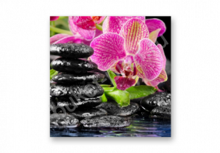 Модульная картина «Орхидея» №1