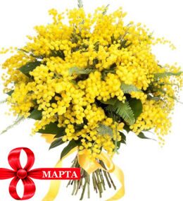 Букет Мимозы