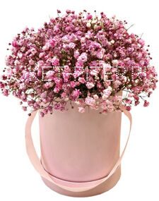 Шляпная Коробка с Розовой Гипсофилой