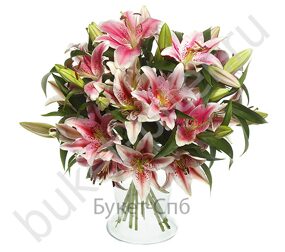 Букет из 9 розовых лилий