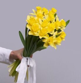 Желтые Нарциссы в Атласной ленте