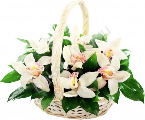 Корзинка с Орхидеями белыми