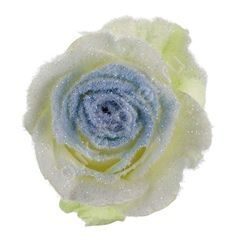 Роза Avalanche snowy mountain blue