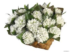 Корзина из Галантусов