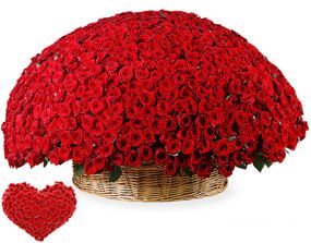Огромная Корзина с Красными Розами 1001 шт.