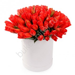 Красные Тюльпаны в Шляпной Коробке