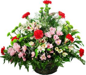 Корзина с Гвоздиками и Хризантемой